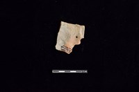 陶片藏品圖，第2張